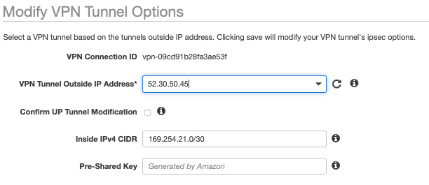 fig. 8, AWS VPN tunnel options